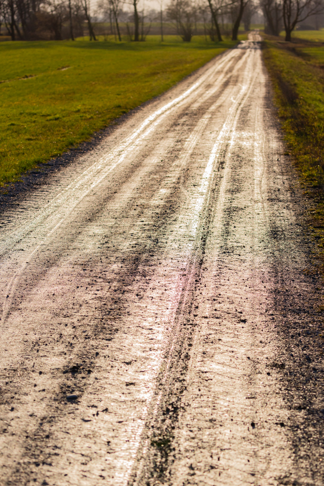 Lauteracherried im Jänner 75